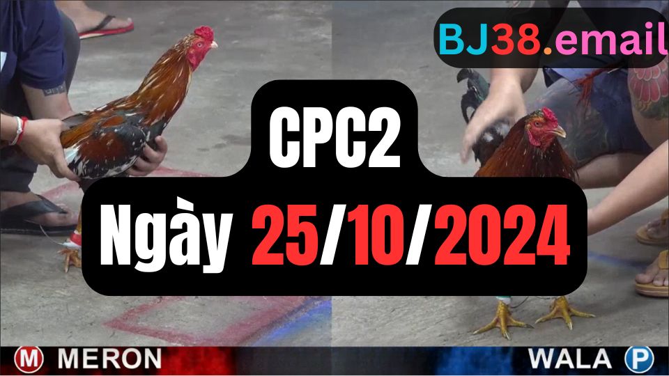 Đá gà thomo CPC2 25-10-2024