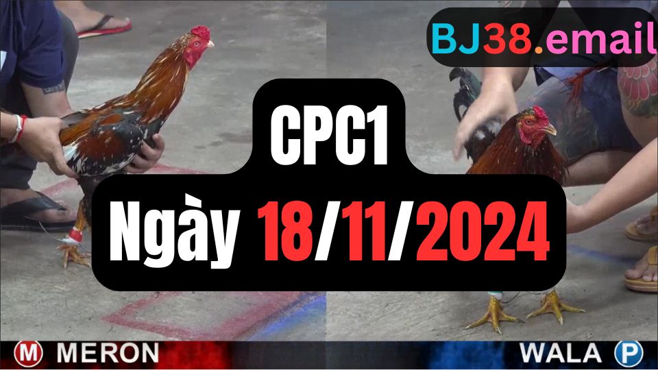 Đá gà thomo CPC1 18-11-2024