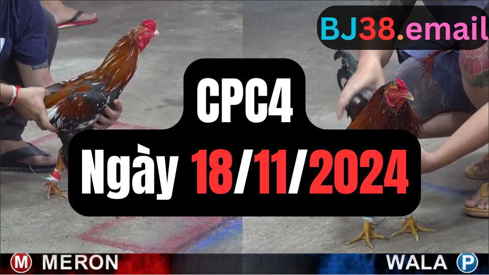 Đá gà thomo CPC4 18-11-2024